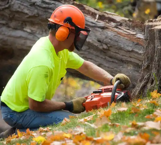 tree services Housatonic